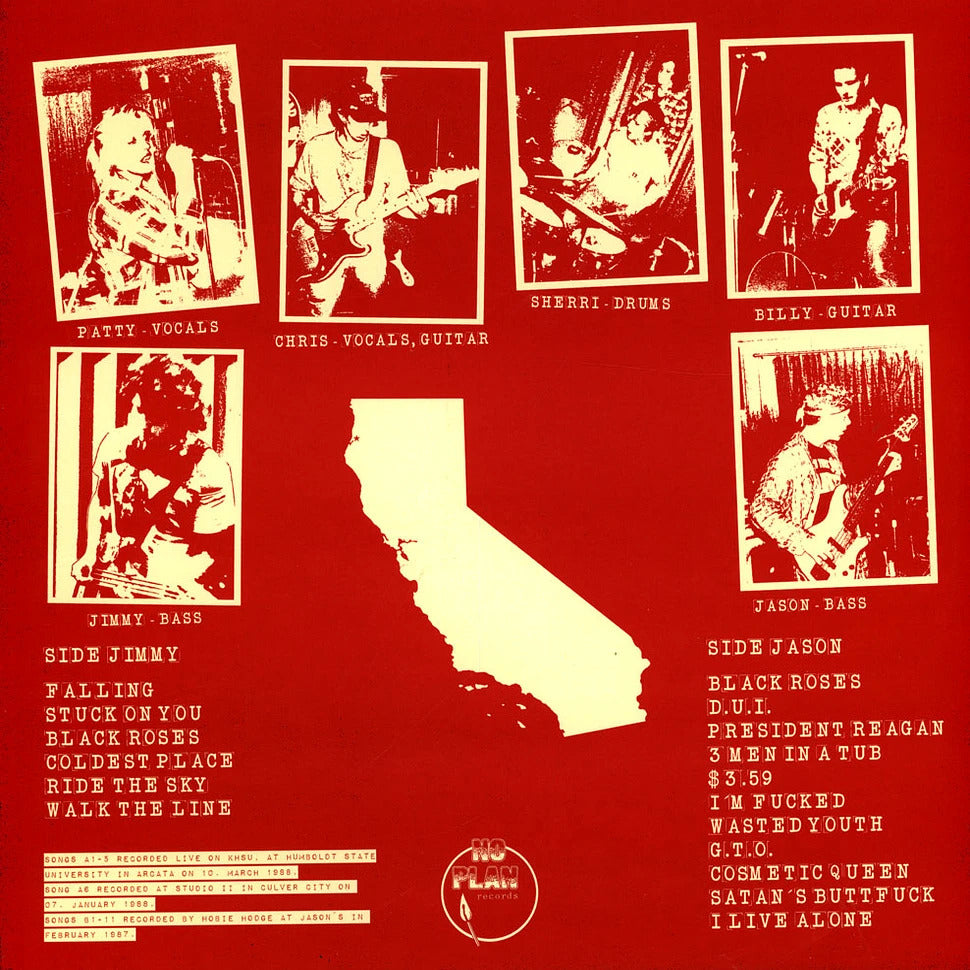 SCHMIDTHEADS – S/T LP