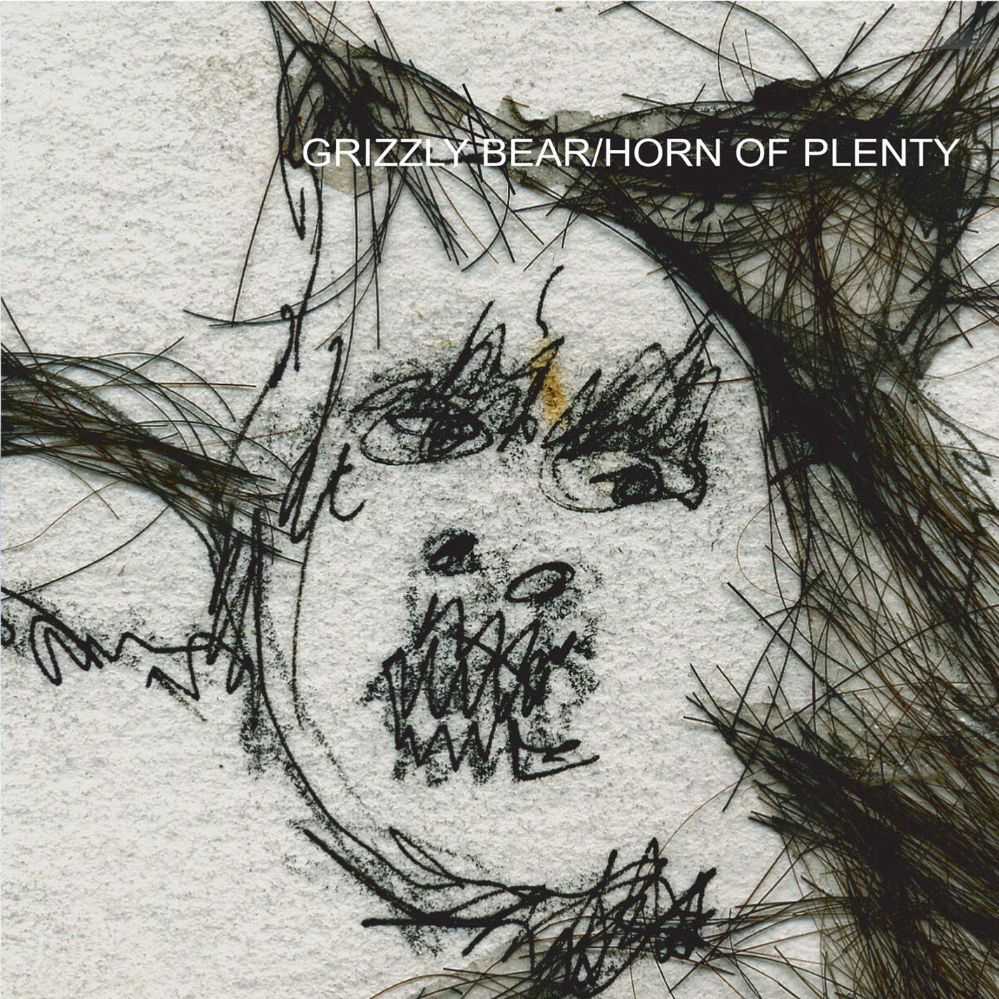 GRIZZLY BEAR – Horn Of Plenty LP (cloudy clear vinyl)