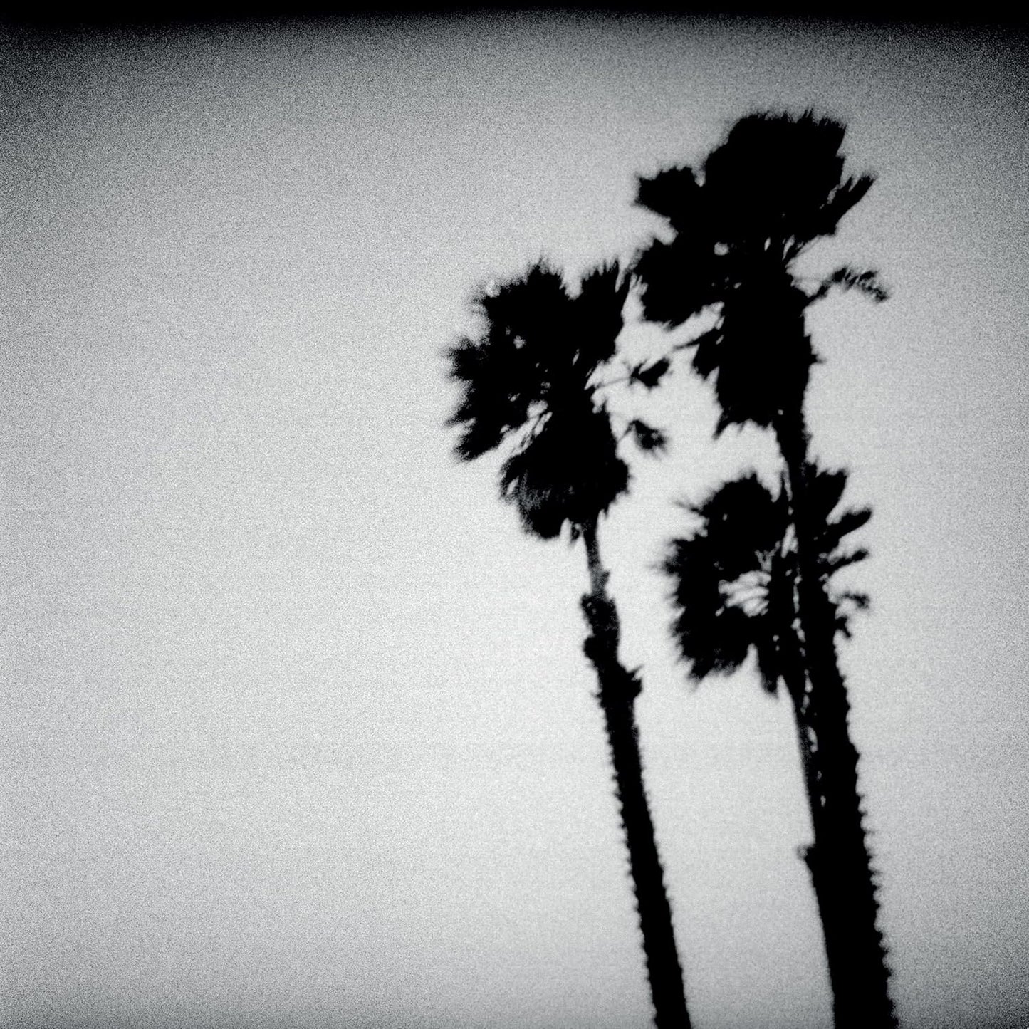 TWILIGHT SINGERS – Blackberry Belle LP