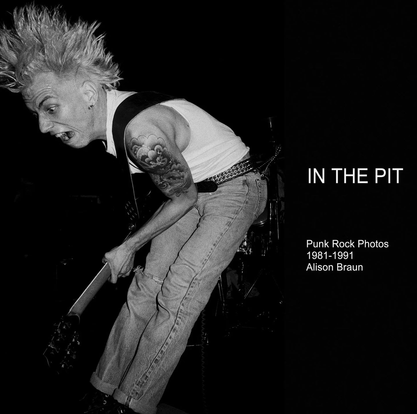 In The Pit: Punk Rock Photos 1981-1991 by Alison Braun