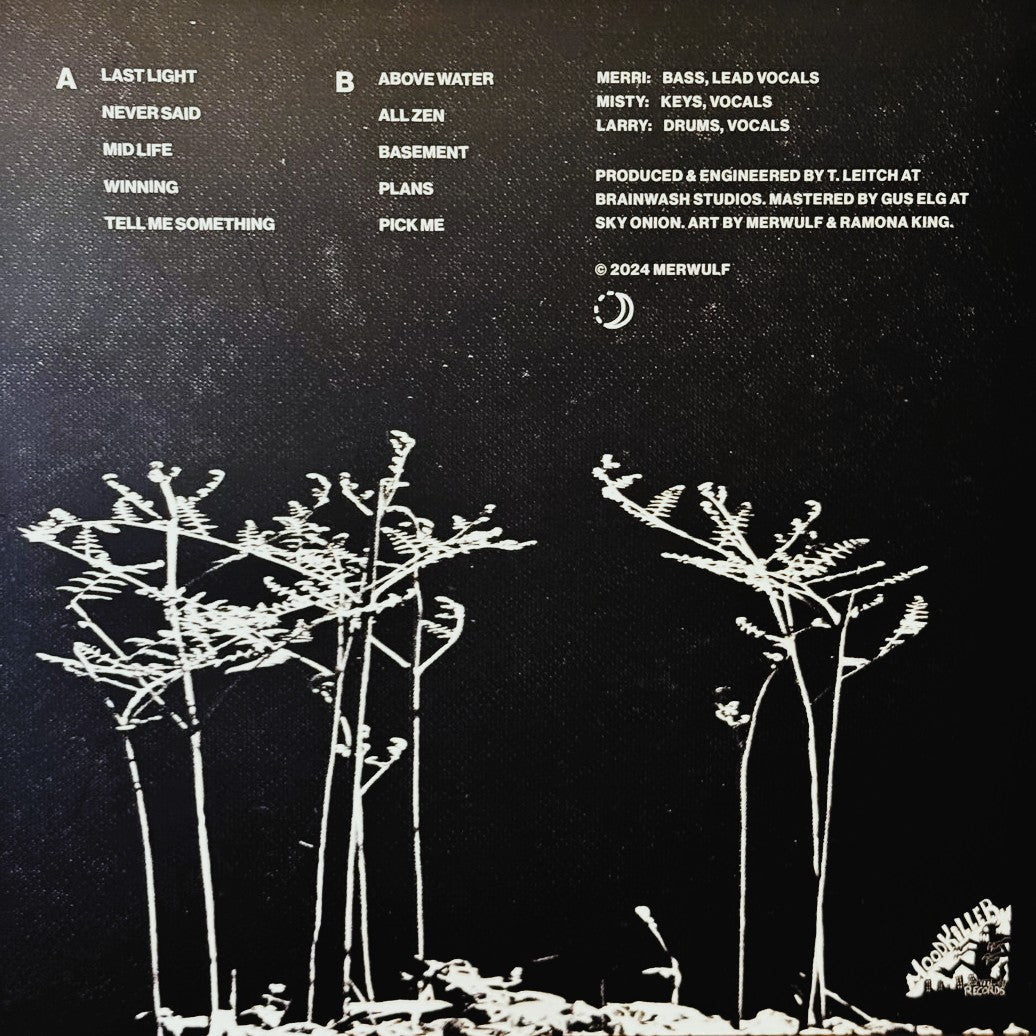 MERWULF – On a Night Walk LP (gold translucent vinyl)