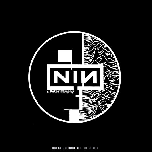 NINE INCH NAILS / PETER MURPHY – Where Darkness Doubles, Where Light Pours In LP (color vinyl)
