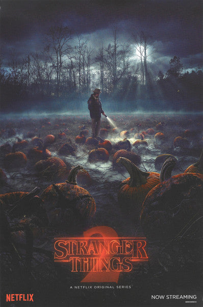 V/A – Stranger Things (Music From The Netflix Original Series) 2xLP