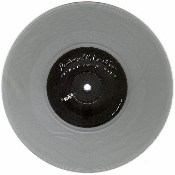 DESTROY ALL MONSTERS – What Do I Get / Nobody Knows 7" (gray vinyl)