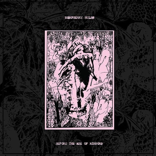RASPBERRY BULBS – Before The Age Of Mirrors LP