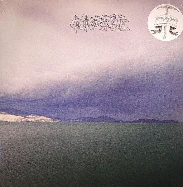 MODEST MOUSE – The Fruit That Ate Itself LP