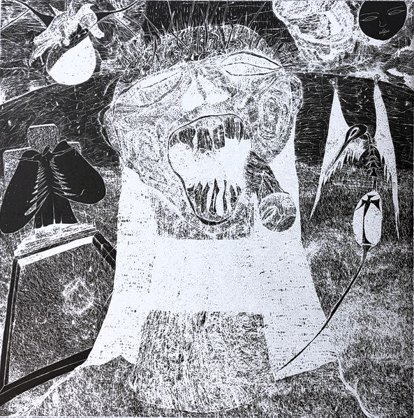 RUDIMENTARY PENI – Demos Of Death Church LP