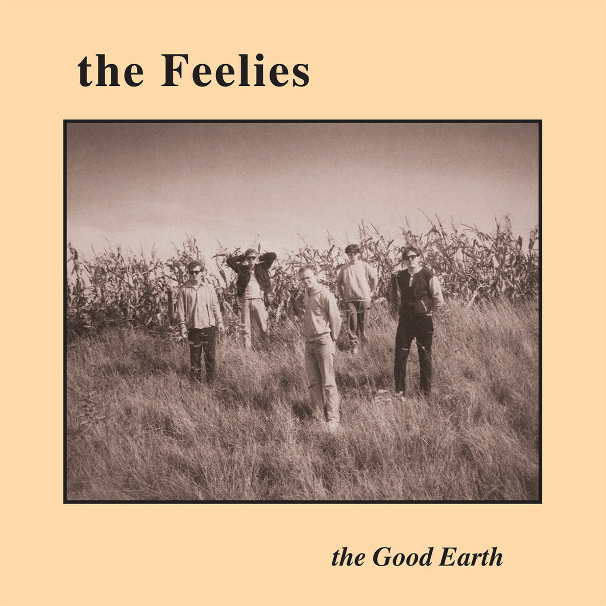 FEELIES – The Good Earth LP