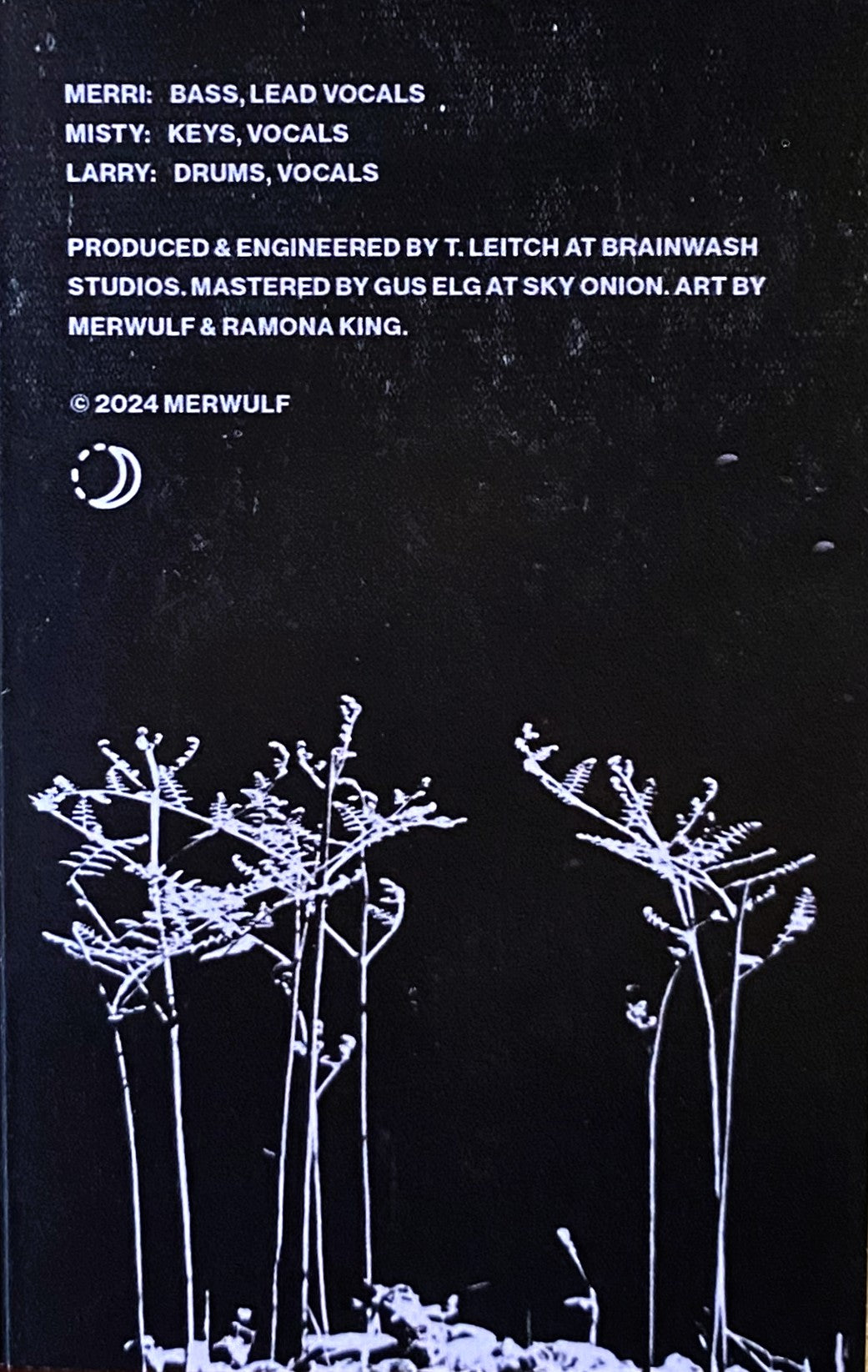 MERWULF – On a Night Walk Cassette