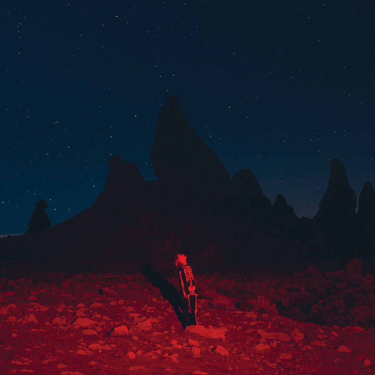 PHOEBE BRIDGERS – Punisher LP