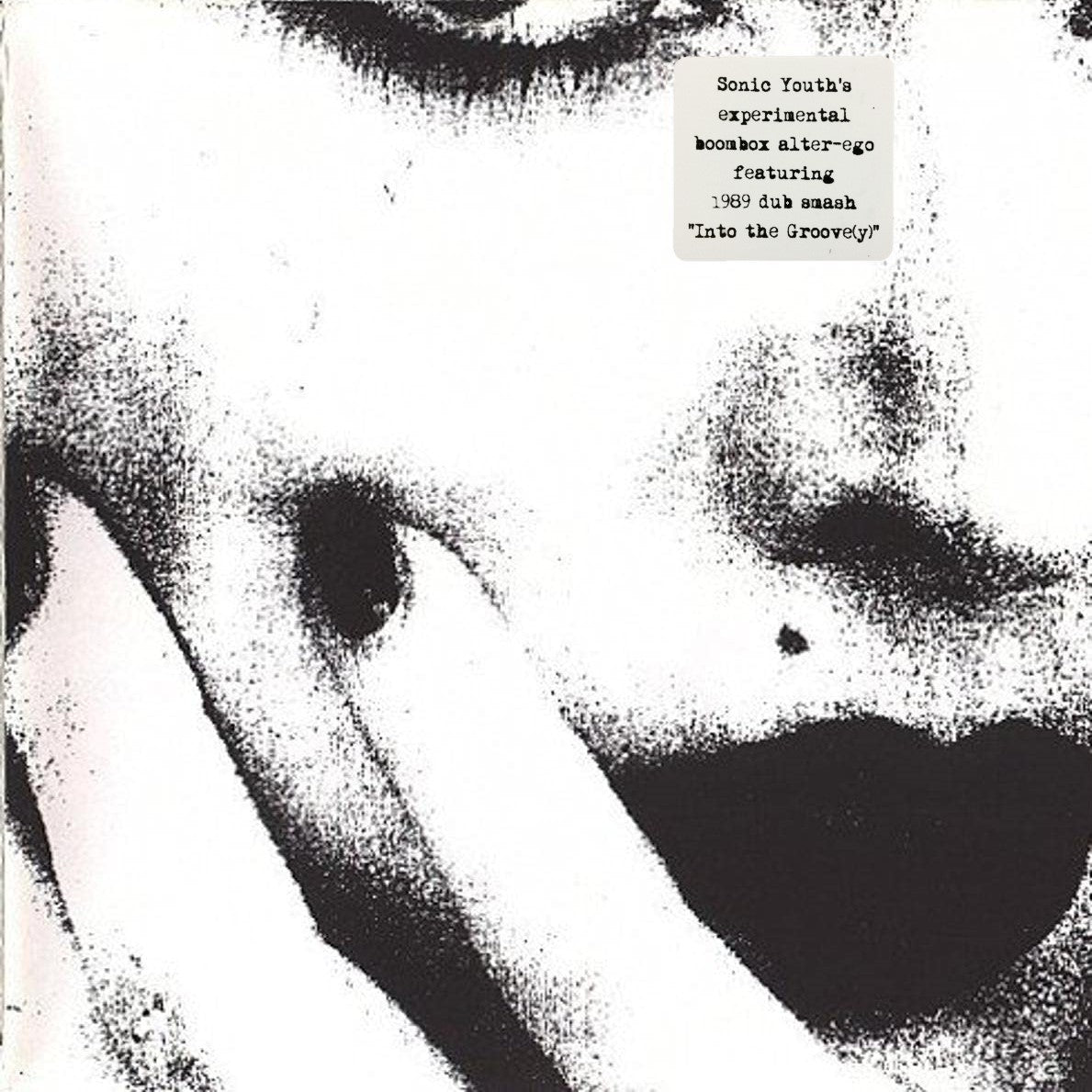 CICCONE YOUTH – The Whitey Album LP