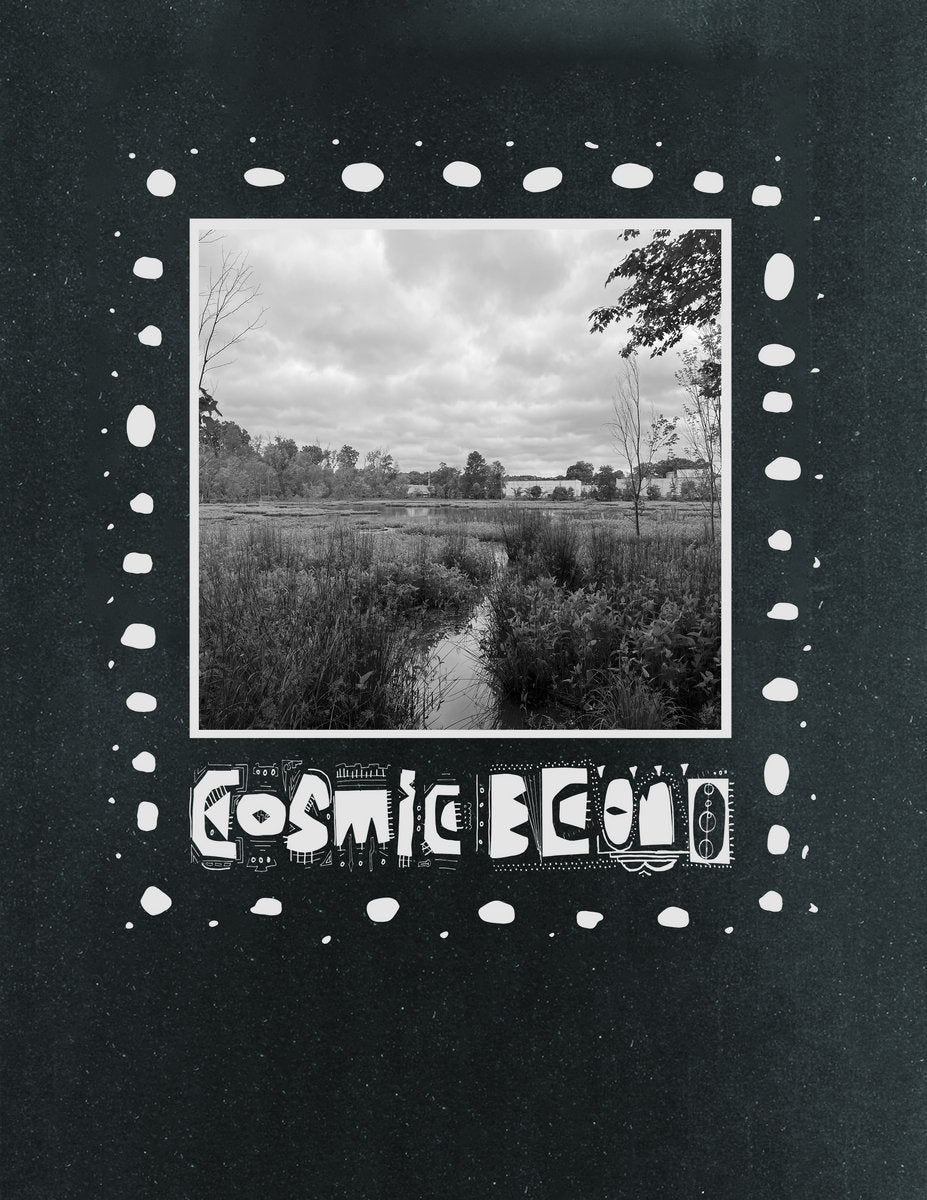 COSMIC ECONO – Cosmic Econo 2 LP