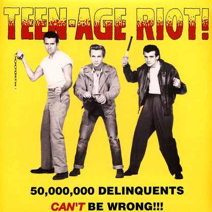 V/A – Teen-Age Riot! • 50,000,000 Delinquents Can't Be Wrong!!! LP