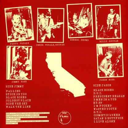 SCHMIDTHEADS – S/T LP