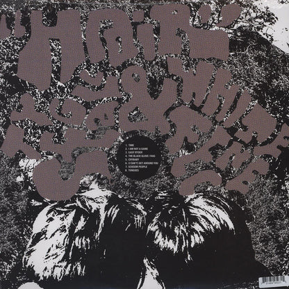 WHITE FENCE / TY SEGALL – Hair LP