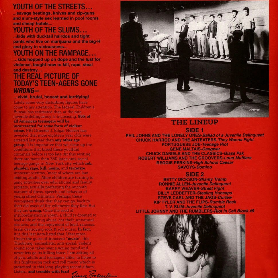 V/A – Teen-Age Riot! • 50,000,000 Delinquents Can't Be Wrong!!! LP