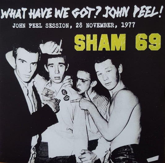 SHAM 69 – What Have We Got? John Peel! 7"