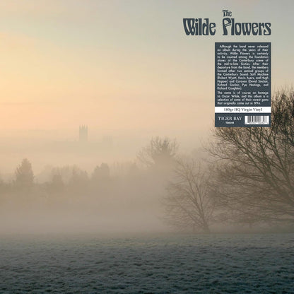 WILDE FLOWERS – S/T LP