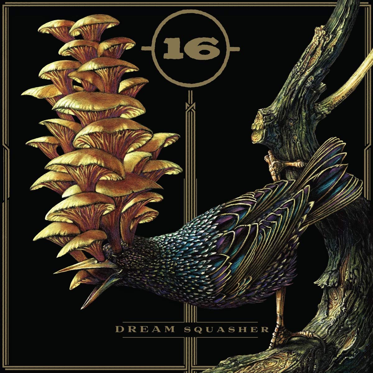 16 – Dream Squasher LP