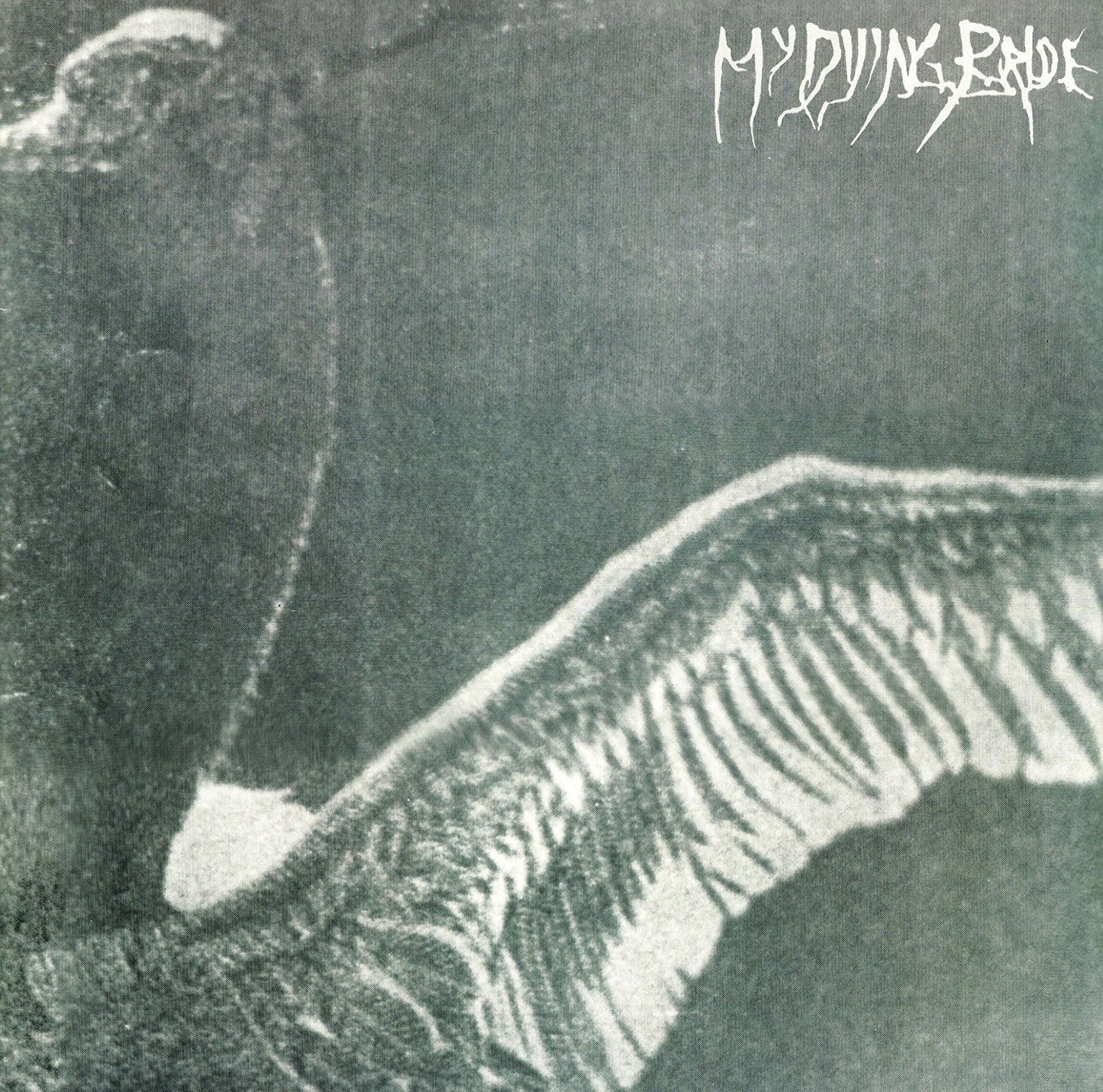 MY DYING BRIDE – Turn Loose The Swans LP