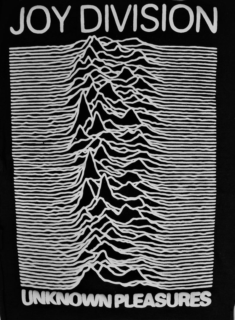 JOY DIVISION | Unknown Pleasures Raw BackPatch