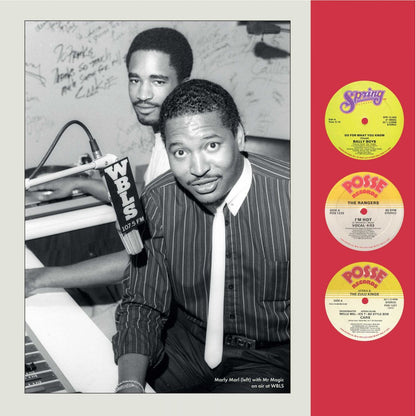 V/A – Dollar Bill Y'All • Spring Records And The First Decade Of Hip Hop 2xLP