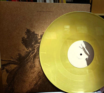 RAGANA / THOU – Let Our Names Be Forgotten LP (gold vinyl)