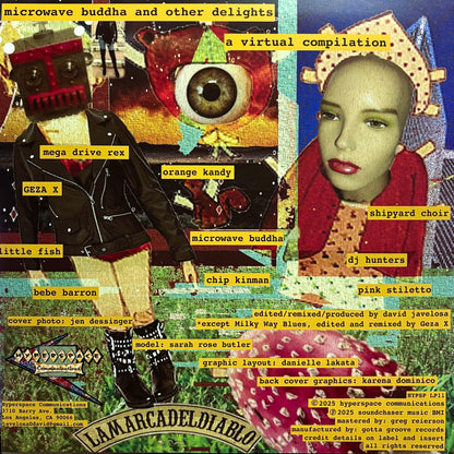 V/A – Microwave Buddha & Other Delights • A Virtual Compilation Of Collaborations & Remixes LP