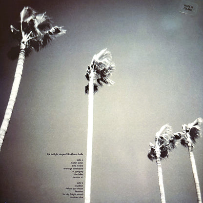 TWILIGHT SINGERS – Blackberry Belle LP