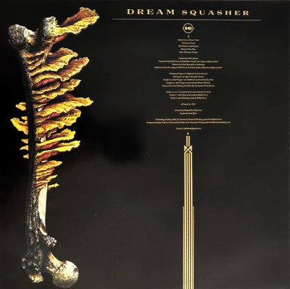 16 – Dream Squasher LP