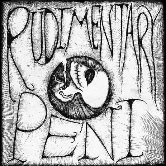 RUDIMENTARY PENI – S/T 7"