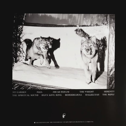 AGRICULTURE – The Spiritual Sound LP