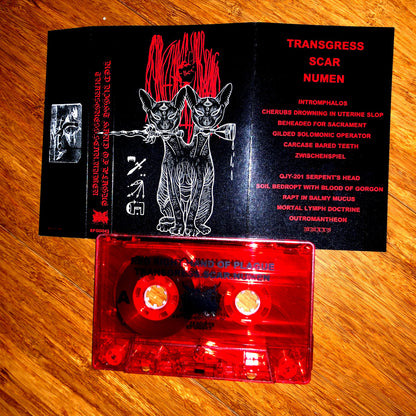 RED RIGHT HAND OF PLAGUE – Transgress.Scar.Numen Cassette