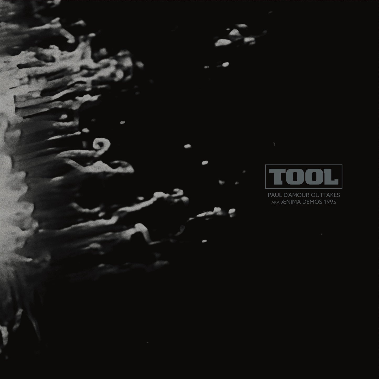 TOOL – Ænima Demos 1995 • Paul D'Amour Outtakes LP