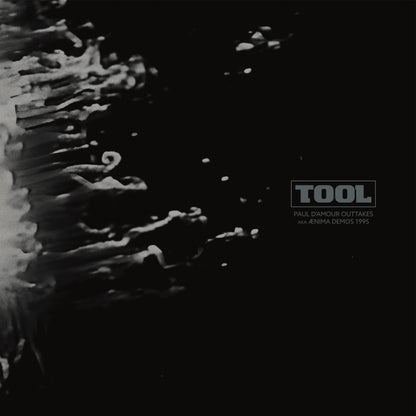 TOOL – Ænima Demos 1995 • Paul D'Amour Outtakes LP