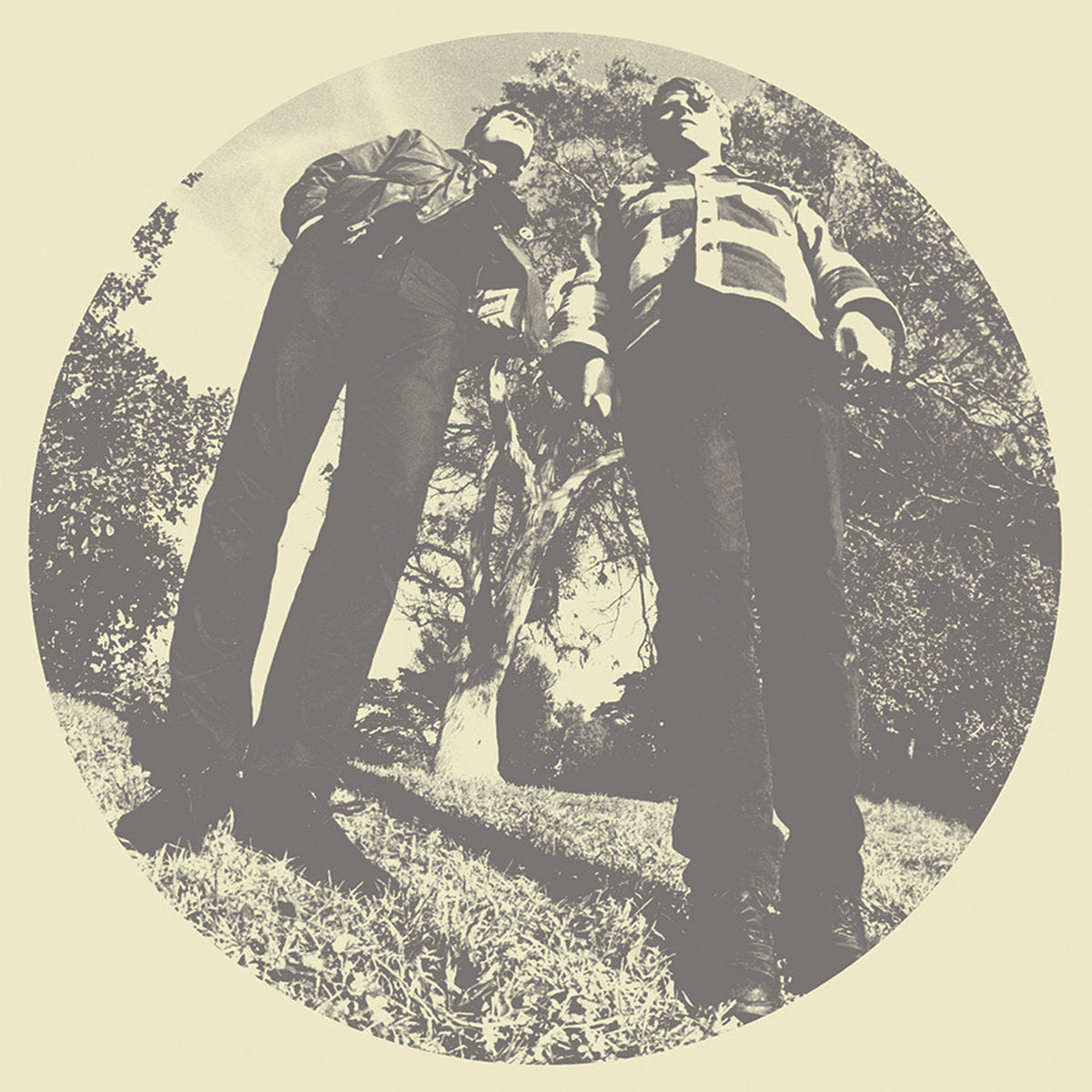 WHITE FENCE / TY SEGALL – Hair LP