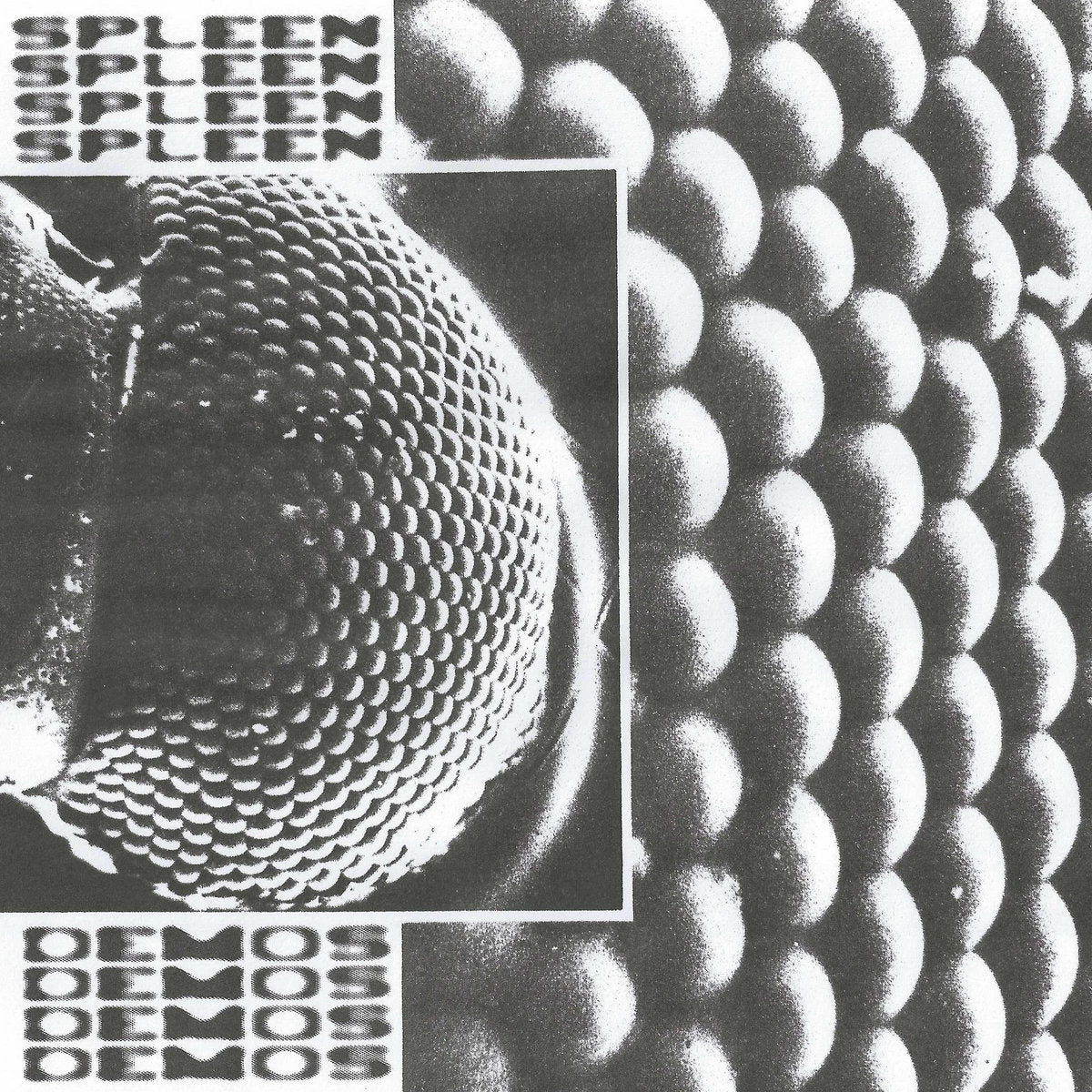 SPLEEN – Demos LP