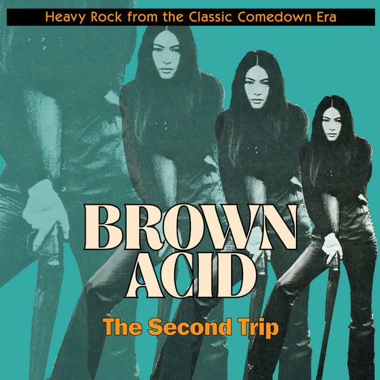 V/A – Brown Acid: The Second Trip • Heavy Rock From The Classic Comedown Era LP