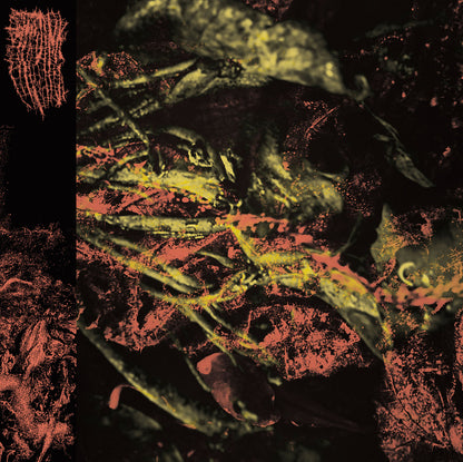 HISSING – Permanent Destitution LP