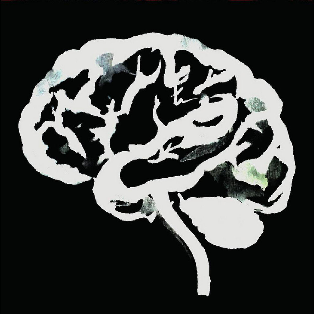 RUINS – Brain Flakes LP