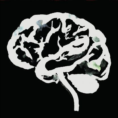 RUINS – Brain Flakes LP