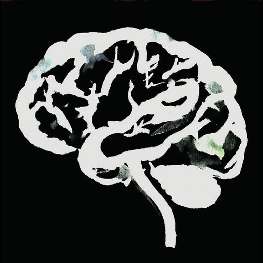 RUINS – Brain Flakes LP