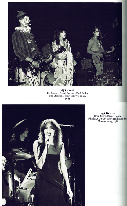 Los Angeles Punk Rock 1980-1985 Photography by Vincent Ramirez