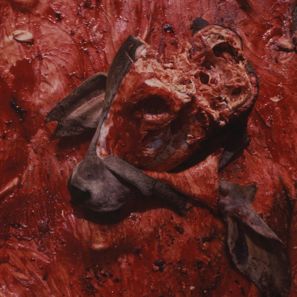 CATTLE DECAPITATION – Human Jerky LP ("Cult Of Torture" color vinyl)
