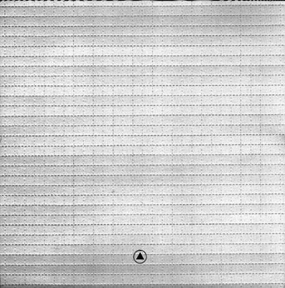 DESTRUCTION UNIT – Deep Trip LP (smoke vinyl)