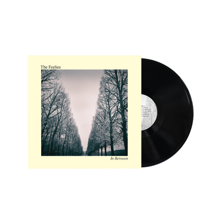 FEELIES – In Between LP