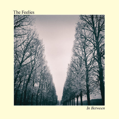 FEELIES – In Between LP