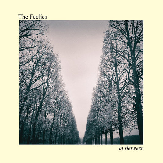 FEELIES – In Between LP