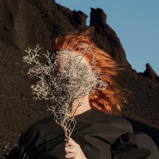 GOLDFRAPP – Silver Eye LP
