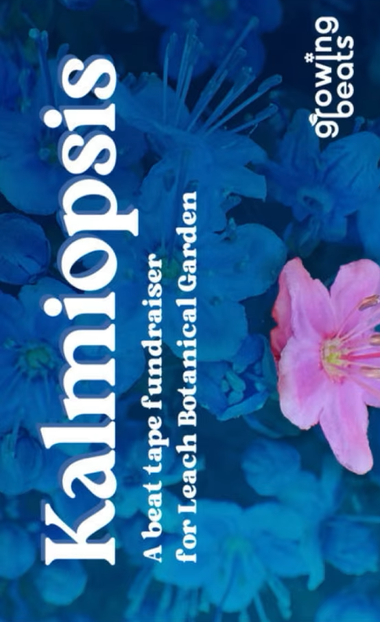 V/A – Kalmiopsis • Growing Beats PDX Fundraiser Cassette